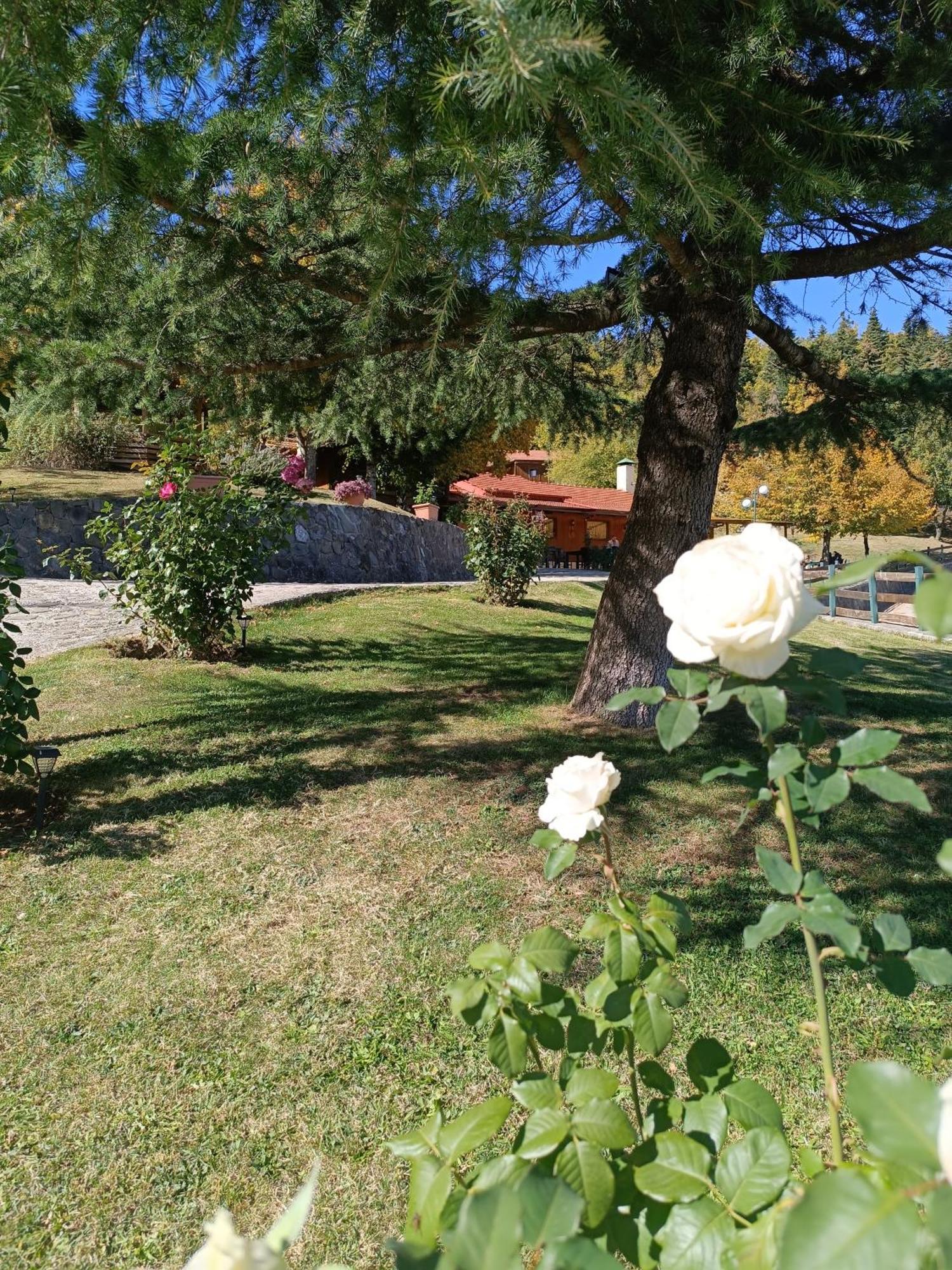 Livadaki Village Megali Kapsi Extérieur photo