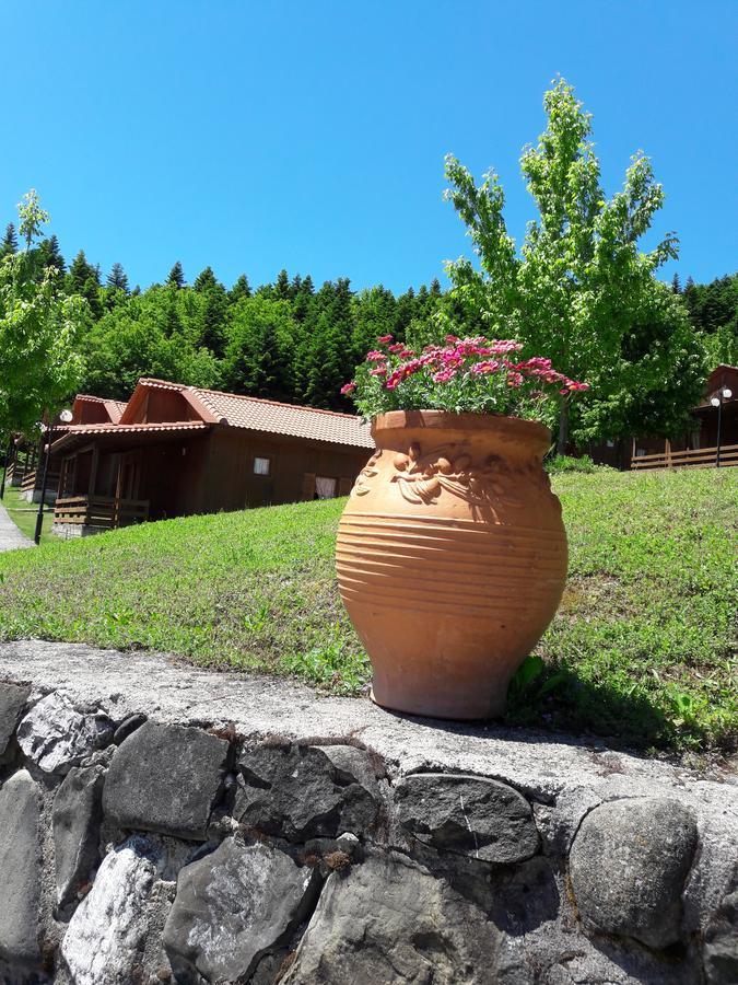 Livadaki Village Megali Kapsi Extérieur photo